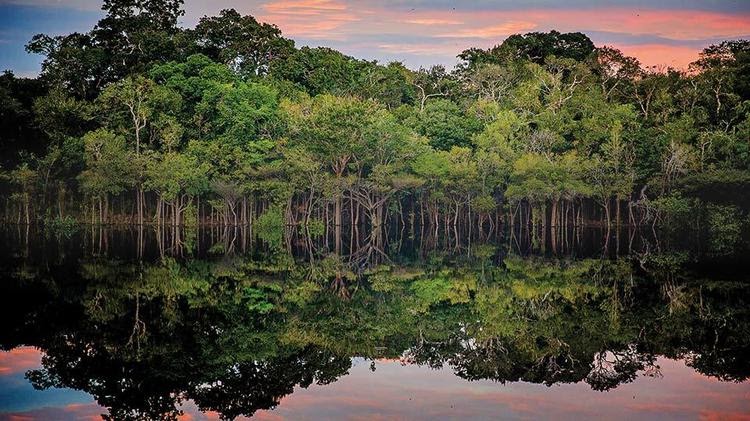 La importancia de la Amazonía para el planeta