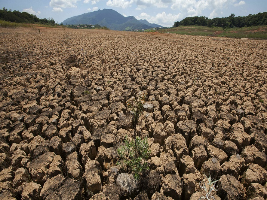 Fundación Yammine - ¡Entérate! ¡Estas son las graves consecuencias de la sequía en Venezuela! - FOTO